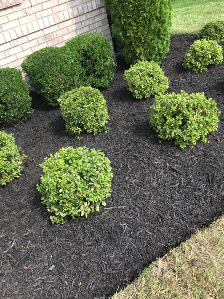 Landscaping