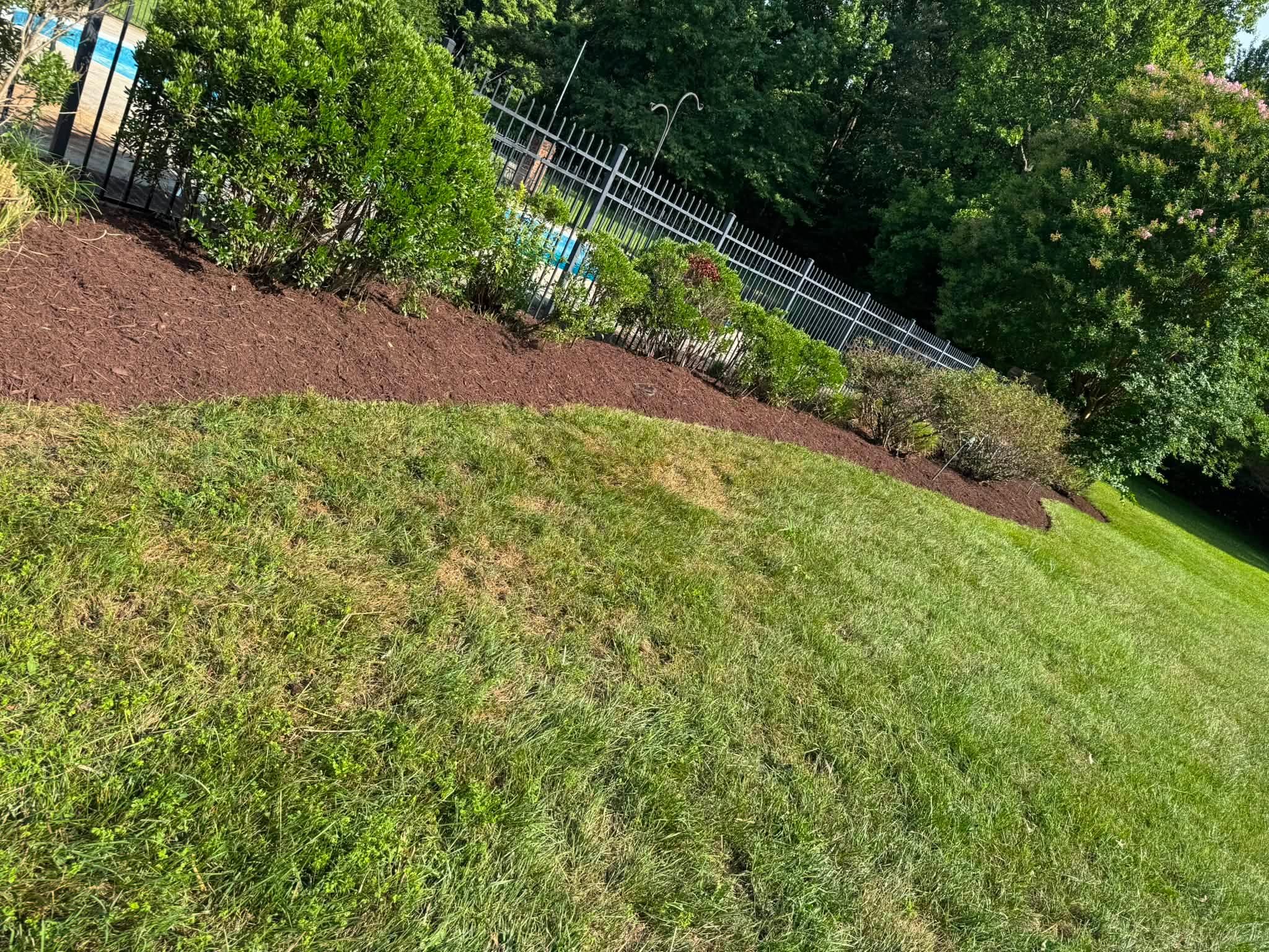 Stump Grinding